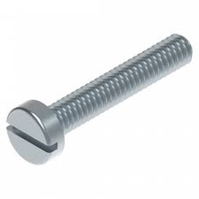Slotted Cylindrical Head Screw with Nut