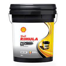 [550049652] Shell Rimula