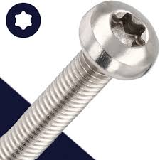 Rounded Torx Head Screw