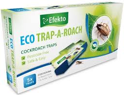Eco trap a roach