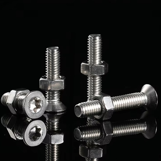 TORX Countersunk Head Screw with Nut
